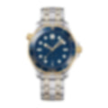 Coast – Blue Dial | Steel & Gold Tone Bracelet