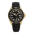 Harbour 42 – Black Dial | Gold Tone Case