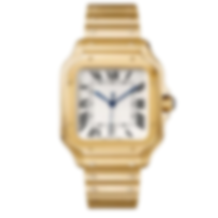 Metro 40 – Silver Dial | Gold Tone Case